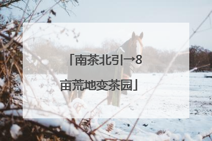 南茶北引→8亩荒地变茶园