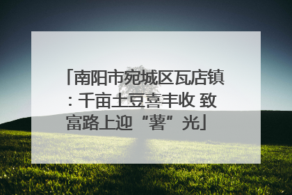 南阳市宛城区瓦店镇：千亩土豆喜丰收 致富路上迎“薯”光