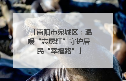 南阳市宛城区：温暖“志愿红”守护居民“幸福路”