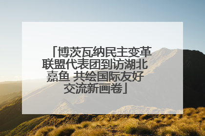 博茨瓦纳民主变革联盟代表团到访湖北嘉鱼 共绘国际友好交流新画卷