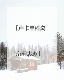 卢卡申科离京前表态