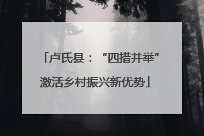 卢氏县：“四措并举”激活乡村振兴新优势