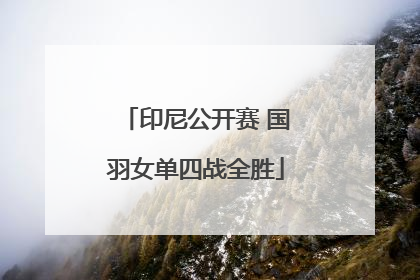 印尼公开赛 国羽女单四战全胜