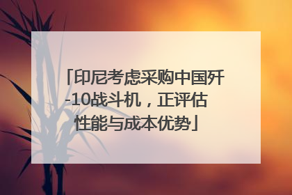 印尼考虑采购中国歼-10战斗机，正评估性能与成本优势
