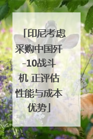 印尼考虑采购中国歼-10战斗机 正评估性能与成本优势