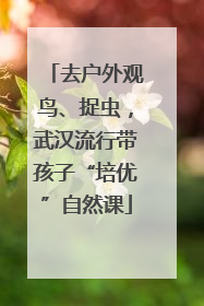 去户外观鸟、捉虫，武汉流行带孩子“培优”自然课
