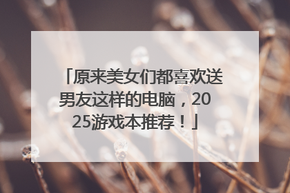 原来美女们都喜欢送男友这样的电脑，2025游戏本推荐！