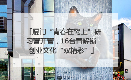 厦门“青春在鹭上”研习营开营，16台青解锁创业文化“双精彩”