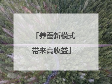 养蚕新模式带来高收益