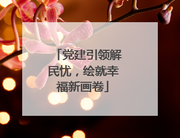 党建引领解民忧，绘就幸福新画卷