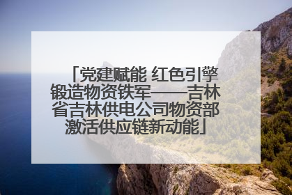 党建赋能 红色引擎锻造物资铁军——吉林省吉林供电公司物资部激活供应链新动能