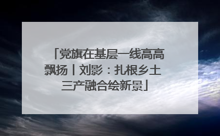 党旗在基层一线高高飘扬丨刘影：扎根乡土 三产融合绘新景