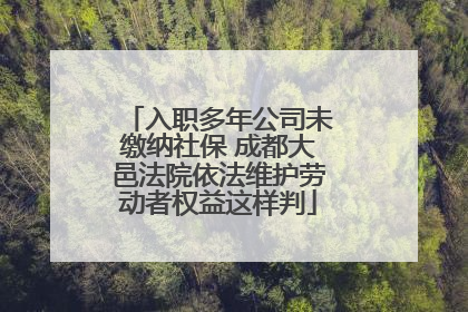 入职多年公司未缴纳社保 成都大邑法院依法维护劳动者权益这样判