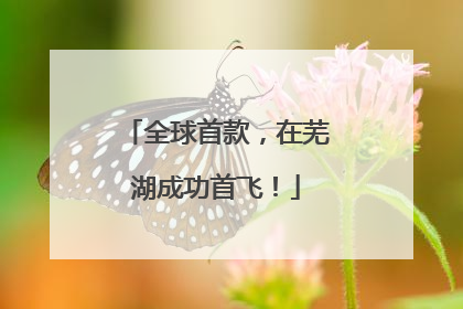 全球首款，在芜湖成功首飞！