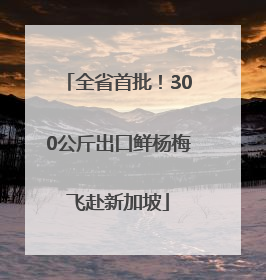 全省首批！300公斤出口鲜杨梅飞赴新加坡