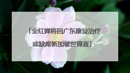 全红婵将回广东康复治疗 或缺席新加坡世锦赛