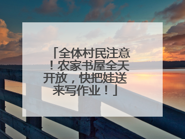 全体村民注意！农家书屋全天开放，快把娃送来写作业！