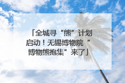 全城寻“熊”计划启动！无锡博物院“博物熊抱集”来了