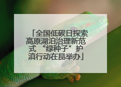 全国低碳日探索高原湖泊治理新范式 “绿种子”护滇行动在昆举办