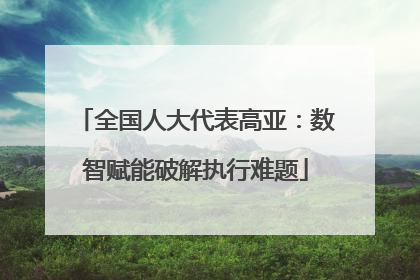 全国人大代表高亚：数智赋能破解执行难题