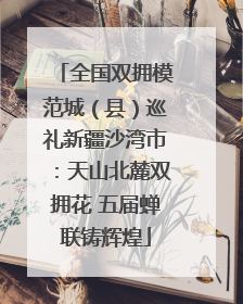 全国双拥模范城（县）巡礼新疆沙湾市：天山北麓双拥花 五届蝉联铸辉煌