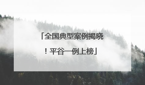 全国典型案例揭晓！平谷一例上榜