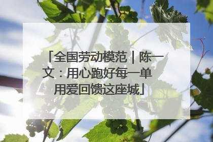 全国劳动模范｜陈一文：用心跑好每一单 用爱回馈这座城