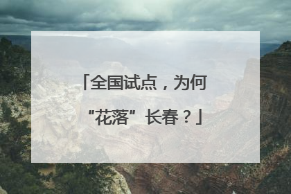全国试点，为何“花落”长春？