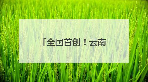 全国首创！云南移动“61520”平台很暖心