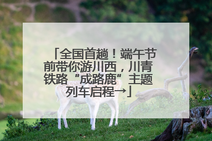 全国首趟！端午节前带你游川西，川青铁路“成路鹿”主题列车启程→