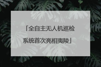 全自主无人机巡检系统首次亮相夷陵