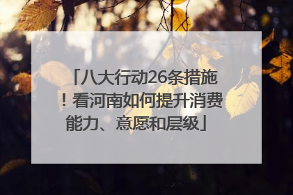 八大行动26条措施！看河南如何提升消费能力、意愿和层级