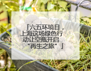 六五环境日，上海这场绿色行动让空瓶开启 “再生之旅”