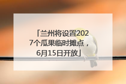兰州将设置2027个瓜果临时摊点，6月15日开放