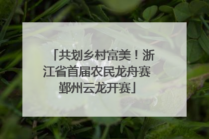 共划乡村富美！浙江省首届农民龙舟赛鄞州云龙开赛