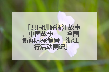 共同讲好浙江故事、中国故事——全国新闻界采编骨干浙江行活动侧记