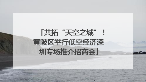 共拓“天空之城”！黄陂区举行低空经济深圳专场推介招商会