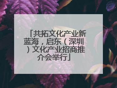 共拓文化产业新蓝海，启东（深圳）文化产业招商推介会举行
