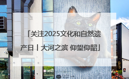 关注2025文化和自然遗产日丨大河之滨 仰望仰韶