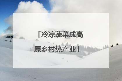 冷凉蔬菜成高原乡村热产业