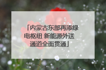 内蒙古东部再添绿电枢纽 新能源外送通道全面贯通