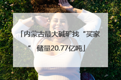 内蒙古最大碱矿找“买家” 储量20.77亿吨