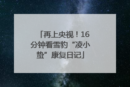 再上央视！16分钟看雪豹“凌小蛰”康复日记