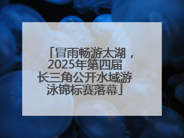 冒雨畅游太湖，2025年第四届长三角公开水域游泳锦标赛落幕
