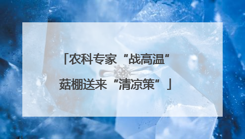 农科专家“战高温” 菇棚送来“清凉策”