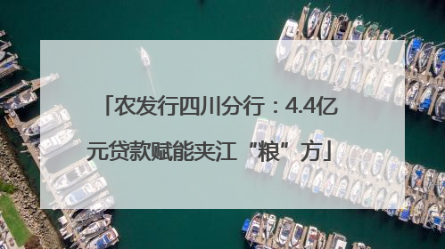 农发行四川分行：4.4亿元贷款赋能夹江“粮”方