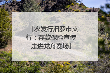 农发行汨罗市支行：存款保险宣传走进龙舟赛场