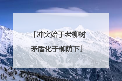 冲突始于老柳树 矛盾化于柳荫下