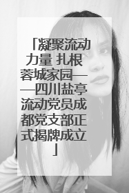 凝聚流动力量 扎根蓉城家园——四川盐亭流动党员成都党支部正式揭牌成立