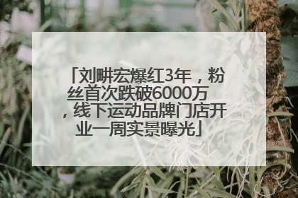 刘畊宏爆红3年，粉丝首次跌破6000万，线下运动品牌门店开业一周实景曝光